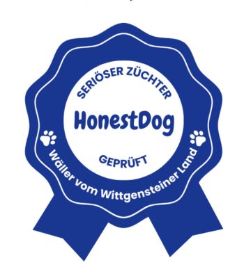 Honest Dog